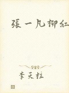 张一凡柳红