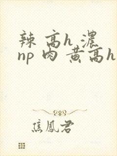 辣 高h 浓 np 肉 黄高h