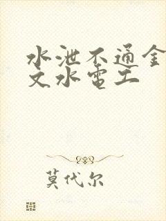 水泄不通金银原文水电工