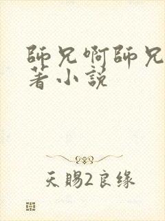 师兄啊师兄的原著小说