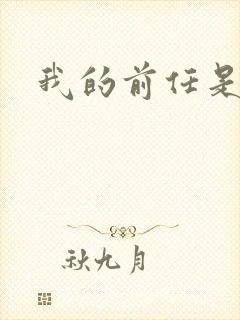 我的前任是极品