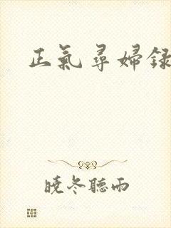 正气寻妇录