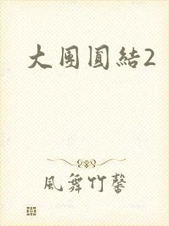 大团圆结2