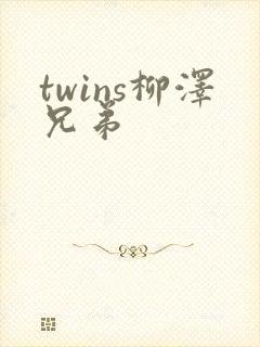 twins柳泽兄弟
