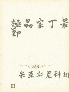 极品家丁最新章节