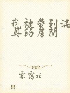 我被带到满是玩具的房间