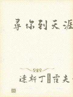 寻你到天涯