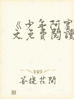 《少年阿宾》全文免费阅读