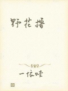 野花撸