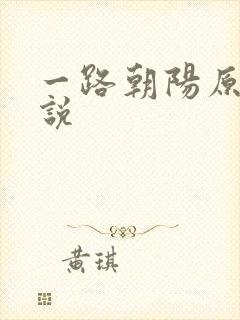 一路朝阳原著小说