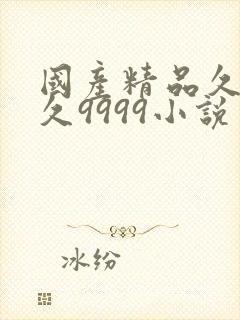 国产精品久久久久9999小说