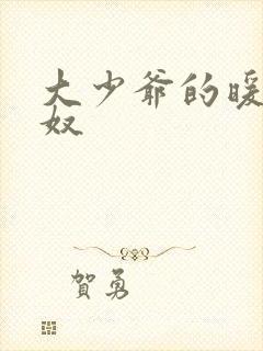 大少爷的暖床小奴