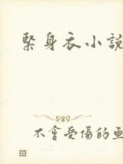 紧身衣小说