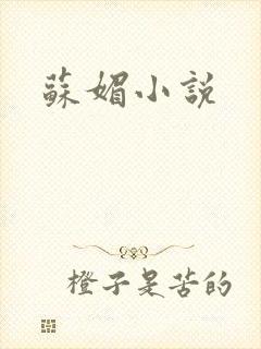 苏媚小说