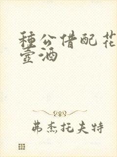 种公借配花间一壶酒