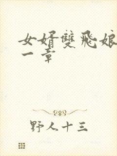 女婿双飞娘俩第一章