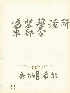 伪装学渣所有开车部分