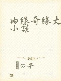 内缘奇缘大团圆小说