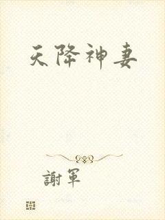 天降神妻