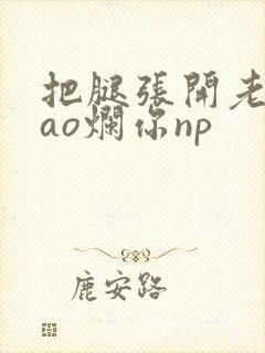 把腿张开老子cao烂你np