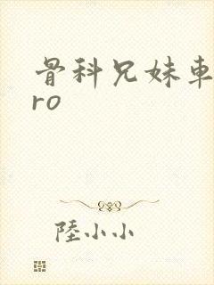 骨科兄妹车多pro