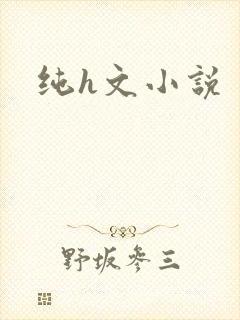 纯h文小说