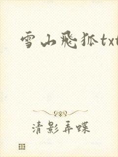 雪山飞狐txt
