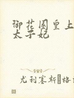 御花园皇上撞着太子妃