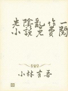 光阴乱作一团的小说免费阅读