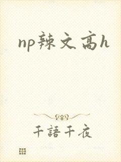 np辣文高h