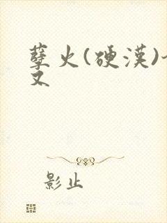 孽火(硬汉)今又