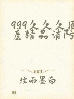 999久久久国产精品消防器材