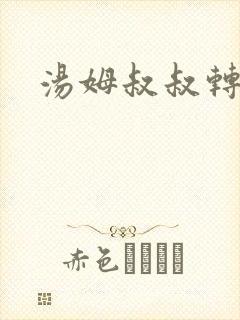 汤姆叔叔转接口