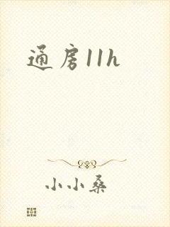 通房11h