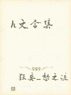 h文合集