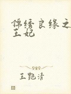 锦绣良缘之北地王妃