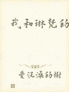 我和琳梵的故事