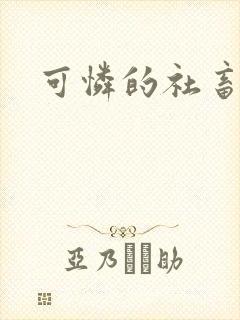 可怜的社畜小说