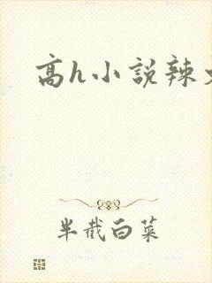 高h小说辣文