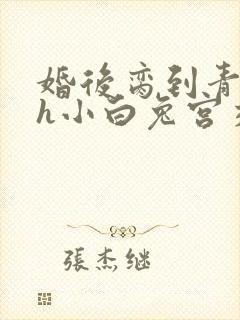 婚后脔到青梅哭h小白兔宫交h