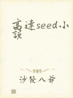 高达seed小说