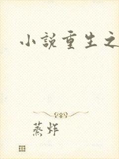 小说重生之官道