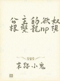 公主的欲奴h四根双龙np视频