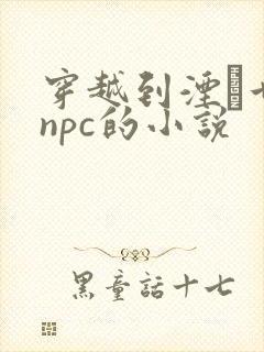 穿越到湮婸世界npc的小说