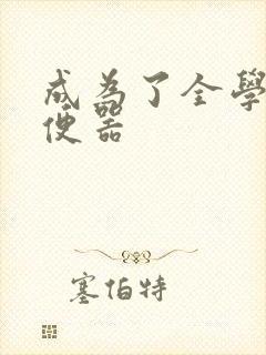 成为了全学校坐便器