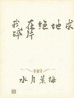 我在绝地求生捡碎片