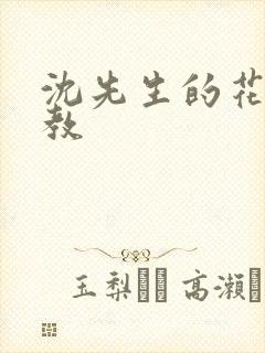 沈先生的花式管教