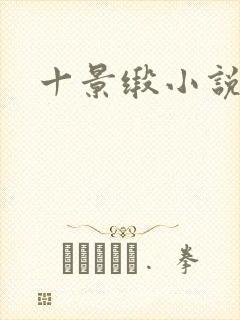 十景缎小说