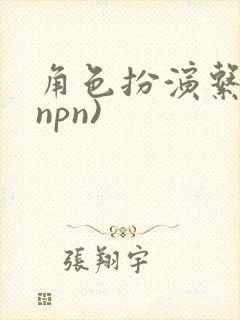 角色扮演系统(npn)