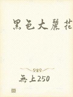 黑色大丽花图片
